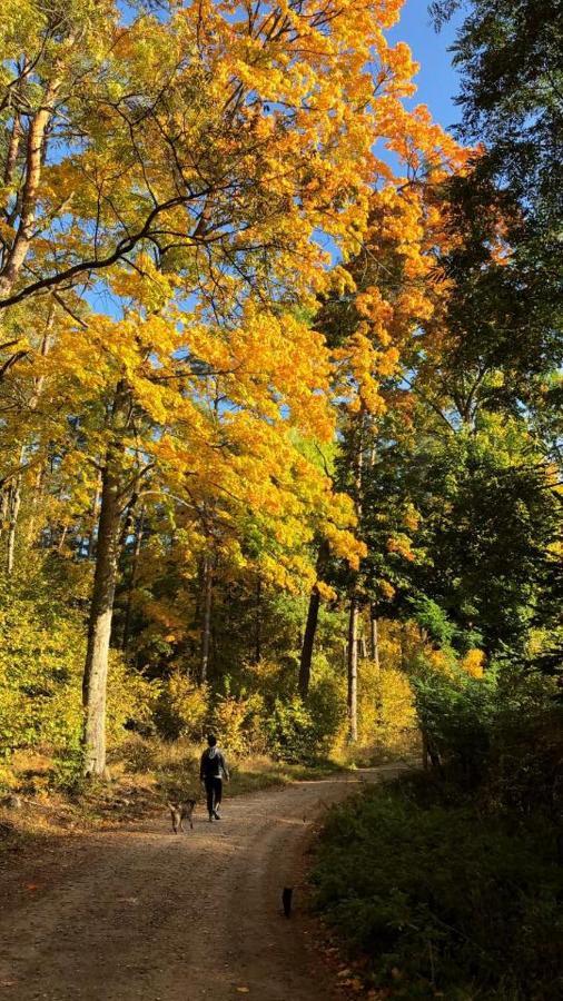 Pokoje Cztery Pory Roku Mikołajki Exteriér fotografie